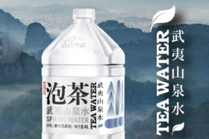 泡茶水品牌策划设计案例