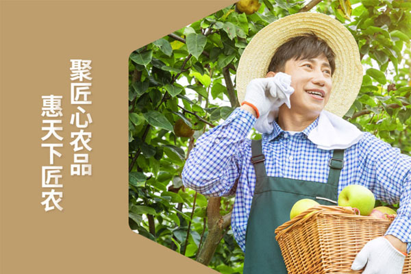 北斗设计x匠农社品牌形象设计落地