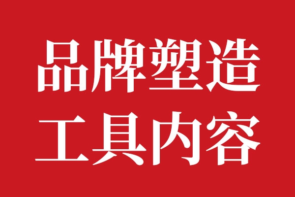 品牌构建载体及作用01